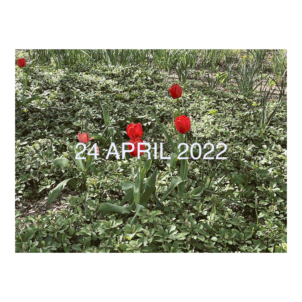 Existence & Immortality - 24 APR 2022